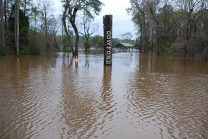 HEAVY RAIN in Alabama and Georgia over the past few weeks has caused the Choctawhatchee River to leave its banks. The waterway crested on Saturday, Jan 2, at approximately 19.2 feet. The flooding caused many residents along the river in the Cowford area to leave their homes or commute by boat. (Photo by Jeffrey Powell) 