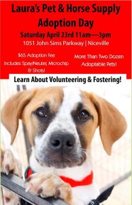 Mega Adoption event!
