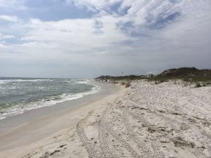 NARROWED BEACHFRONT south of Emerald Cove Lane, east of the Inlet Beach Regional Beach Access. (Photo courtesy of Walton County TDC).
