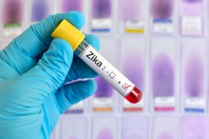 Zika-Virus